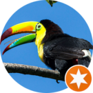 Kevin Lockwood (Toucan) Avatar